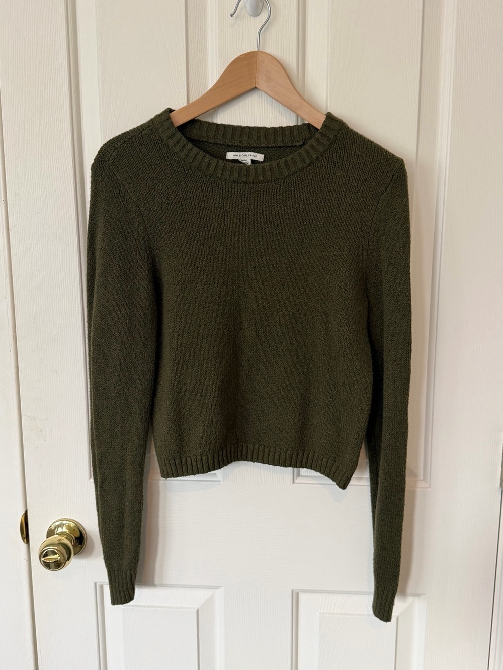 American Eagle Outfitters Olive Crewneck Sweater